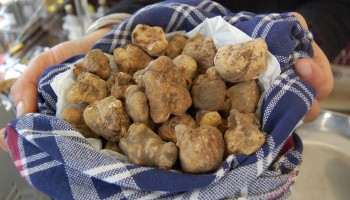 fiera del tartufo di sant'agata feltria